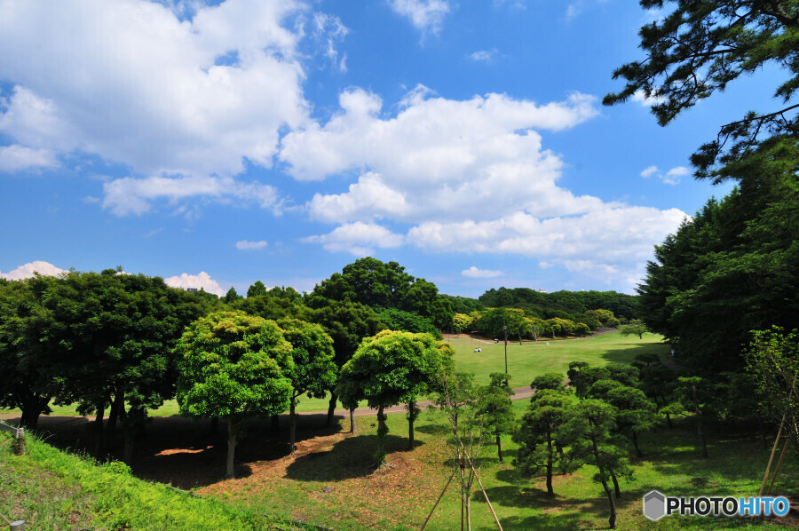 根岸森林公園にて