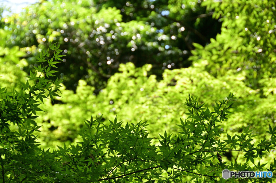 四季の森公園にて