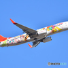 T'Way Air