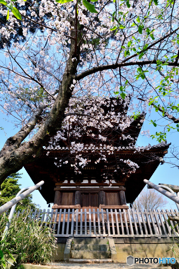 三渓園