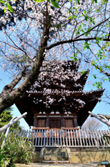 三渓園