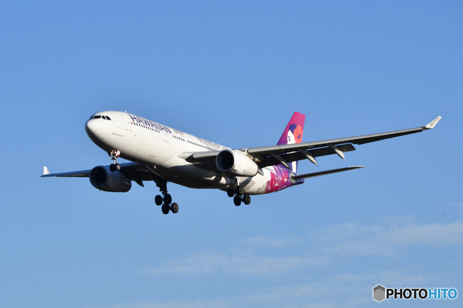 Hawaiian Airlines
