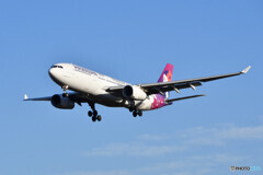 Hawaiian Airlines