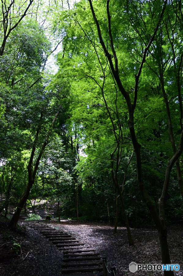 四季の森公園にて