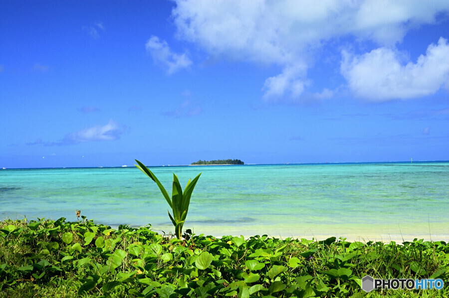 マイクロビーチにて