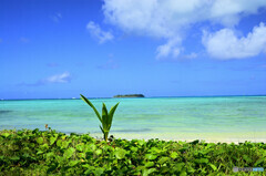 マイクロビーチにて