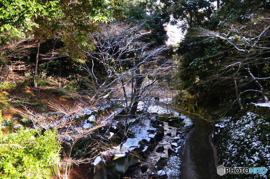 徳川園