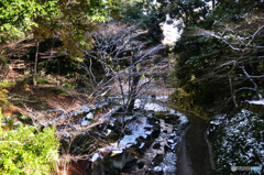 徳川園