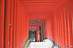 中津万象園