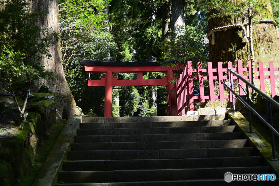 箱根神社の第四鳥居