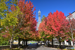 秋色グランモール公園