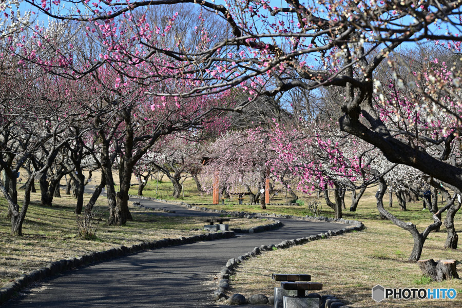 根岸森林公園にて