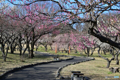 根岸森林公園にて