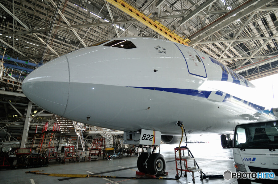 All Nippon Air