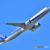 All Nippon Airways
