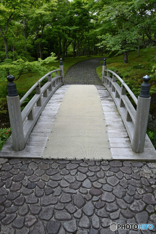 苔庭への入り口