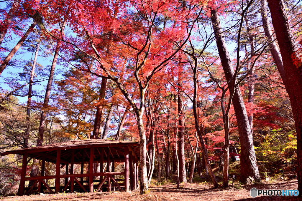 御岳昇仙峡にて