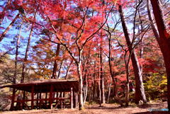御岳昇仙峡にて