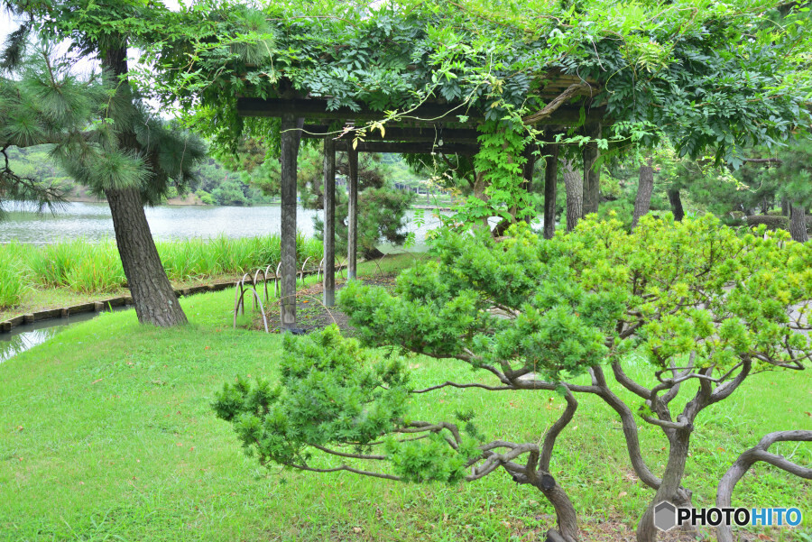 横浜三渓園