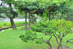 横浜三渓園