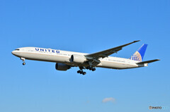 United Airlines
