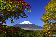 紅葉と富士山