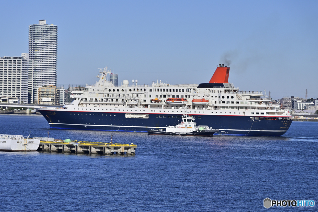 にっぽん丸横浜港へ入港-8