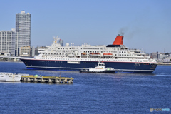 にっぽん丸横浜港へ入港-8