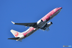 Japan Transocean Air