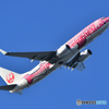 Japan Transocean Air