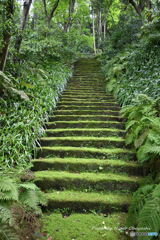 鎌倉 妙法寺