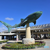 沖縄美ら海水族館にて
