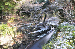徳川園