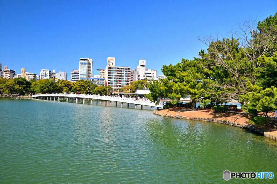 観月橋 大濠公園
