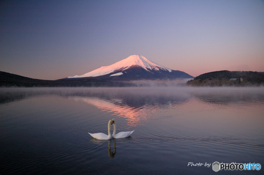 スワンハートと富士山