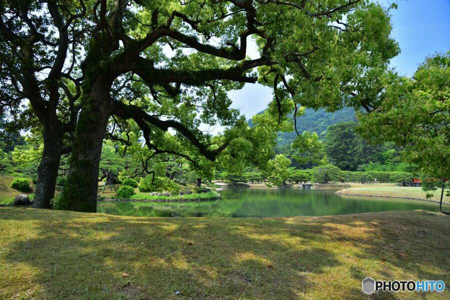 栗林公園にて