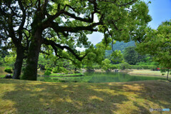 栗林公園にて