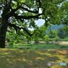 栗林公園にて