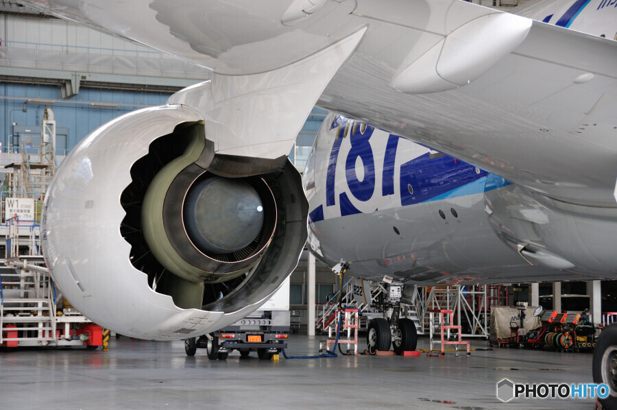 All Nippon Airways