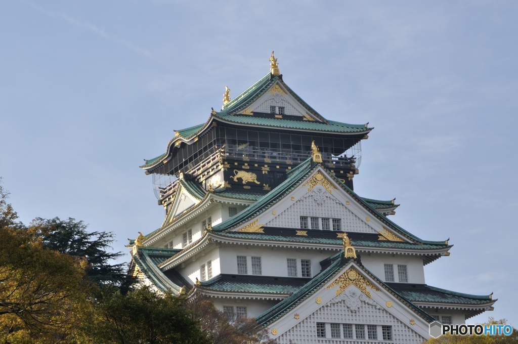 秋の大阪城にて