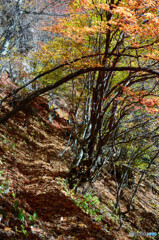 横谷峡谷を行く