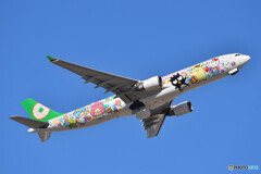 EVA Air