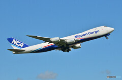 Nippon Cargo Airlines