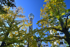 秋色山下公園通り