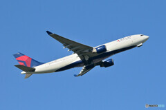 Delta Air Lines