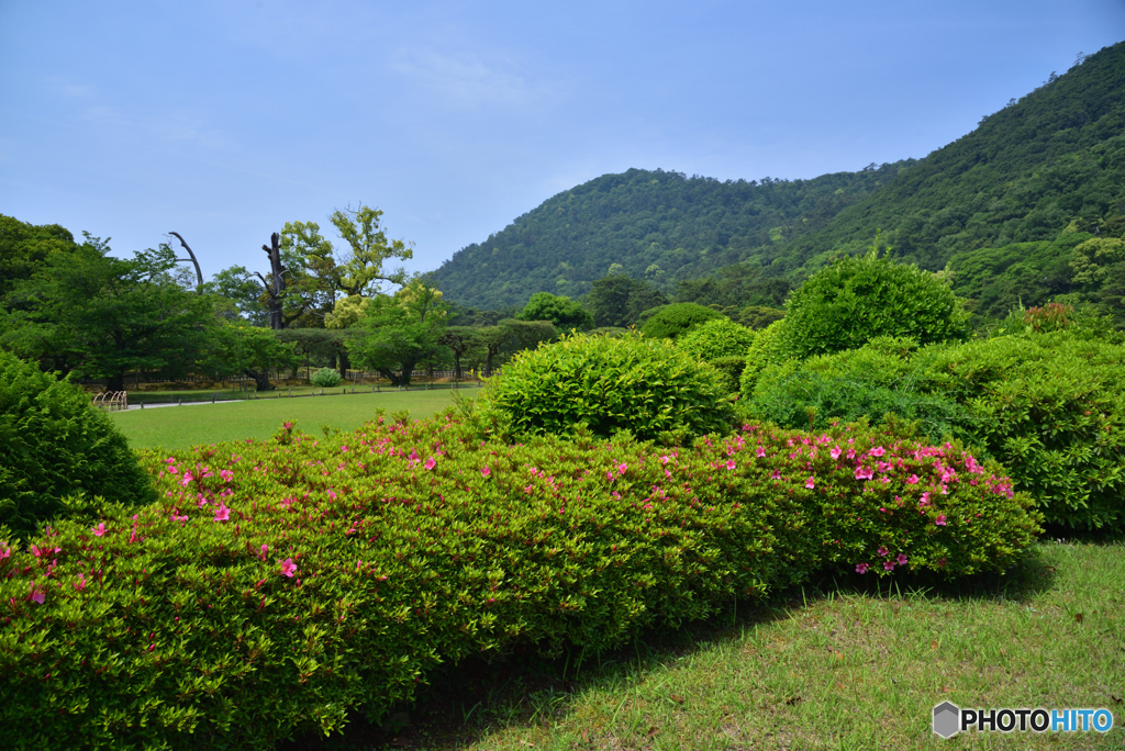 栗林公園