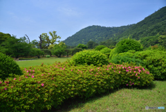 栗林公園