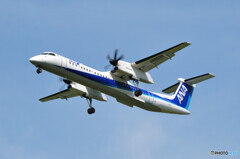 ANA Wings