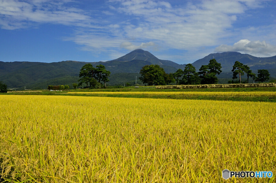 秋の八ヶ岳山麓