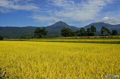 秋の八ヶ岳山麓